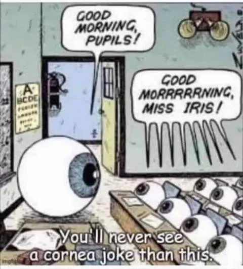 Cornea joke.webp