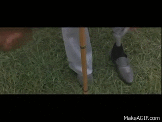 tN4vWx.gif