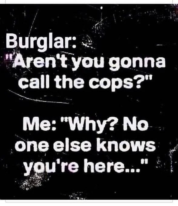 Burglar.webp