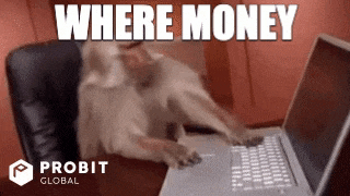 monkey-where-no-money-ko7qqmpmzn0pypck.gif