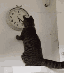2FFBC9C7-3D44-4D02-B83B-249F3CED0009.gif