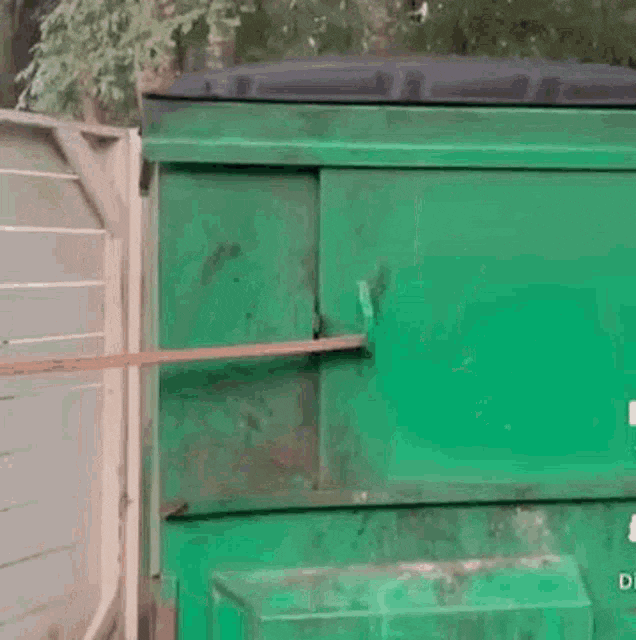 racoon-dumpsterracoon.gif