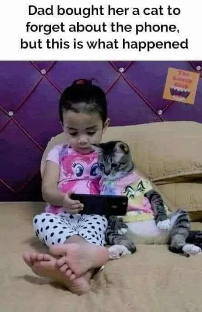 AFE1A1D4-M6.webp