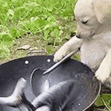053F9AED-7958-401F-9095-A724FEB066D4.gif