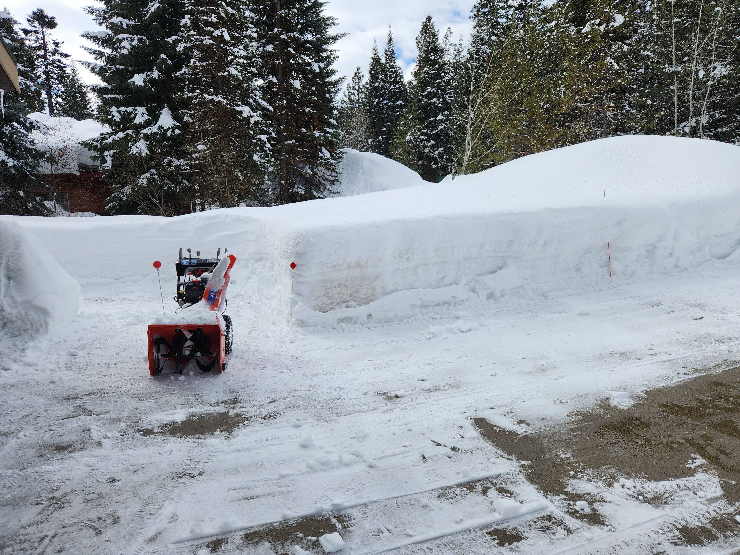 Driveway 031223.jpg
