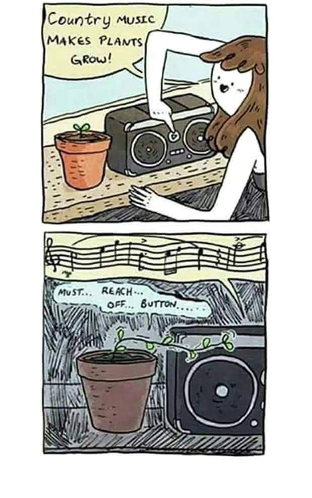 Country Music.jpg