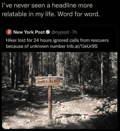 1678826379405.webp