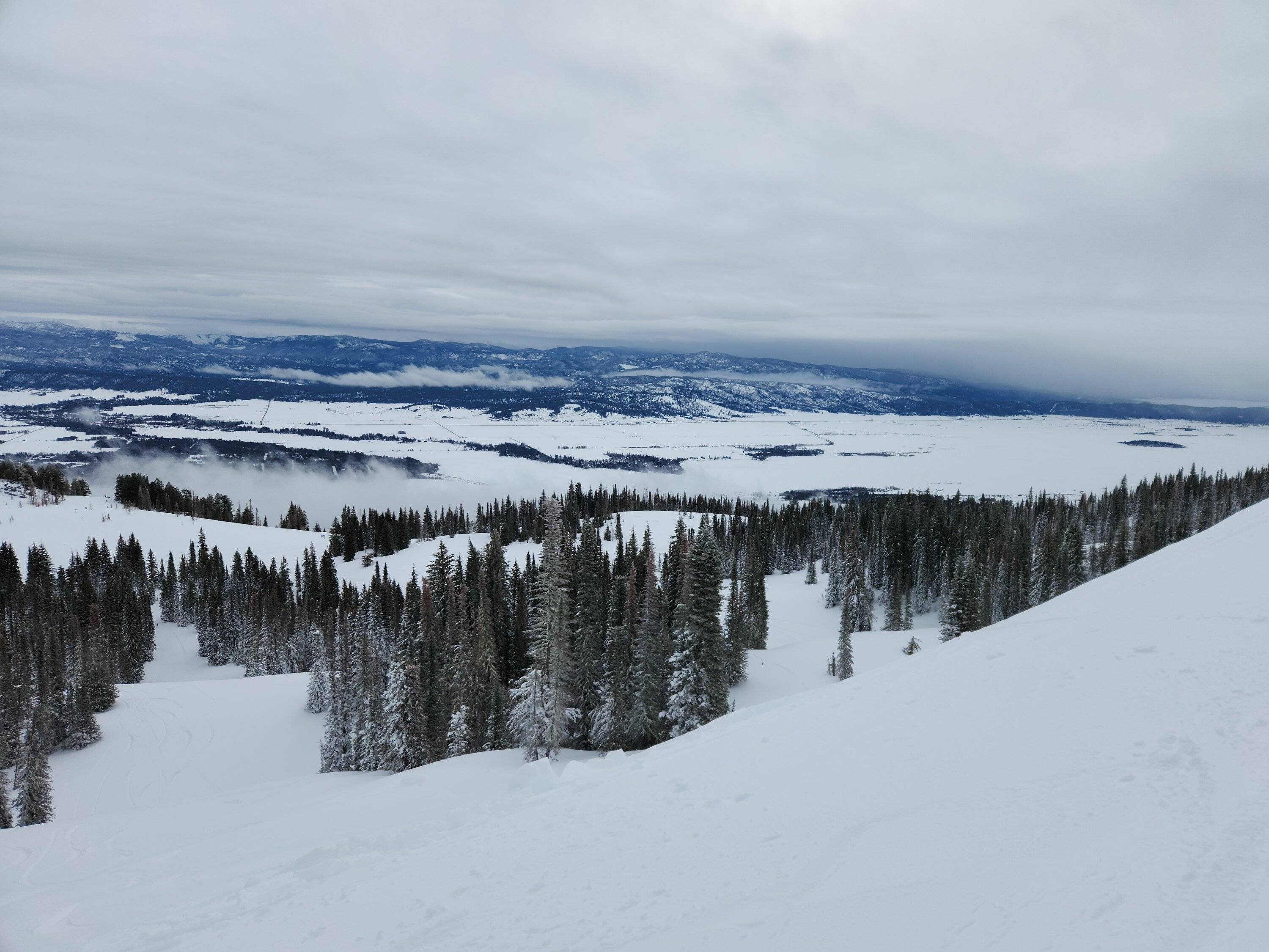 Tamarack small.jpg
