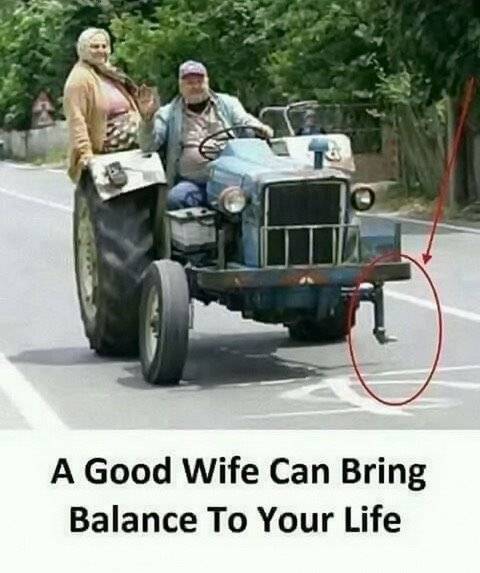 MARRIAGE - Good wife brings balance to life.jpg