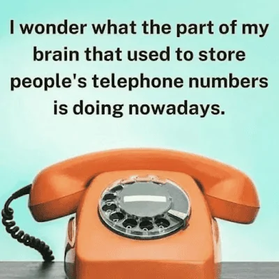 4A694F3F-M6.webp