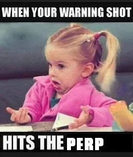 Warning Shot.webp
