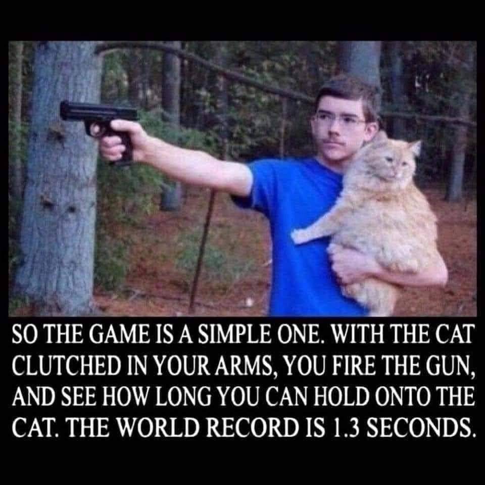 Cat Game.jpg