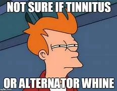 tinnitus.webp