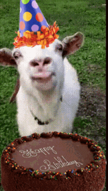 1679704019391.gif