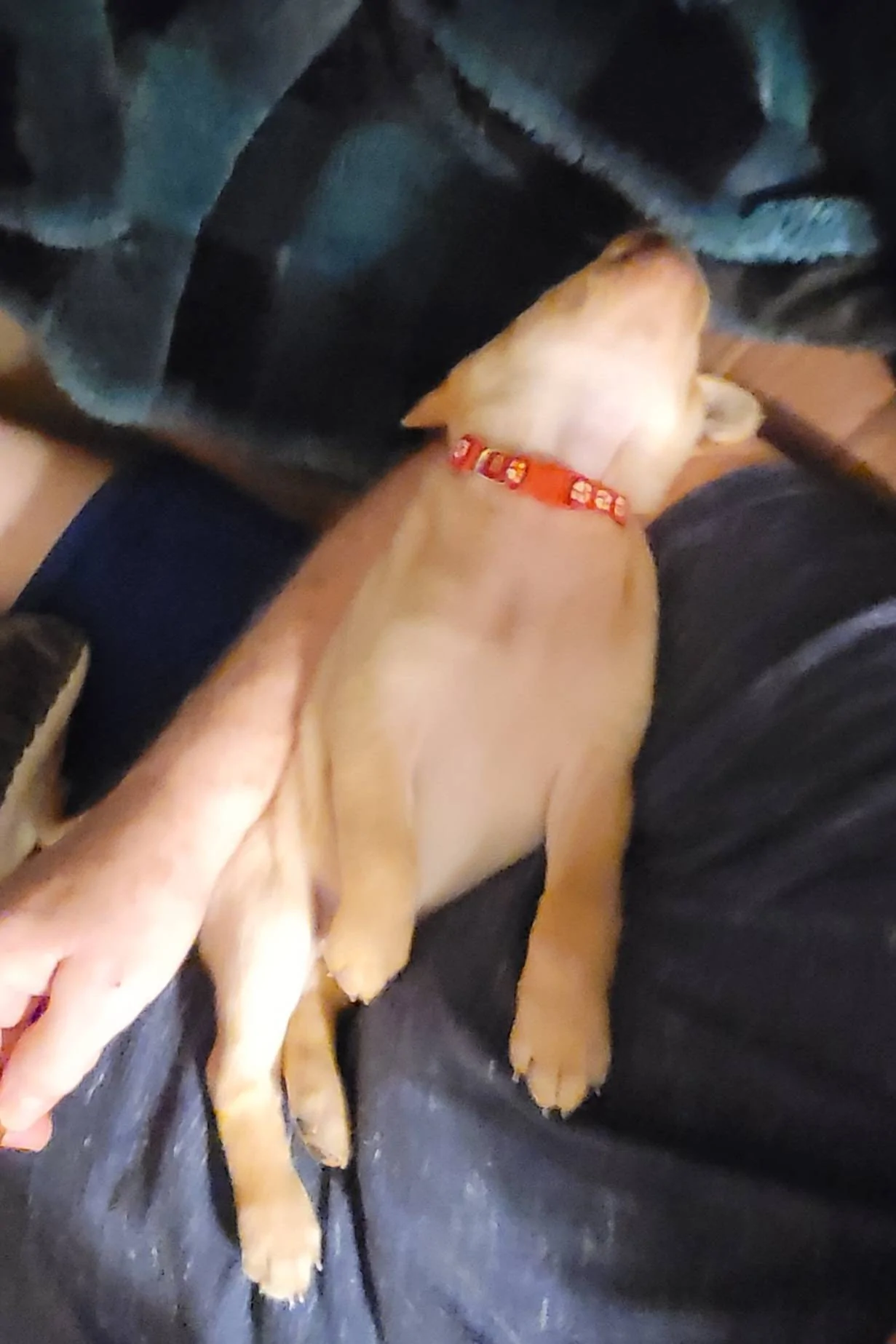 20230326_212439.webp