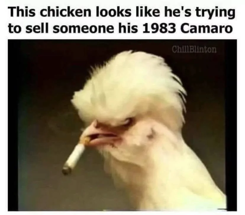 Chicken.webp