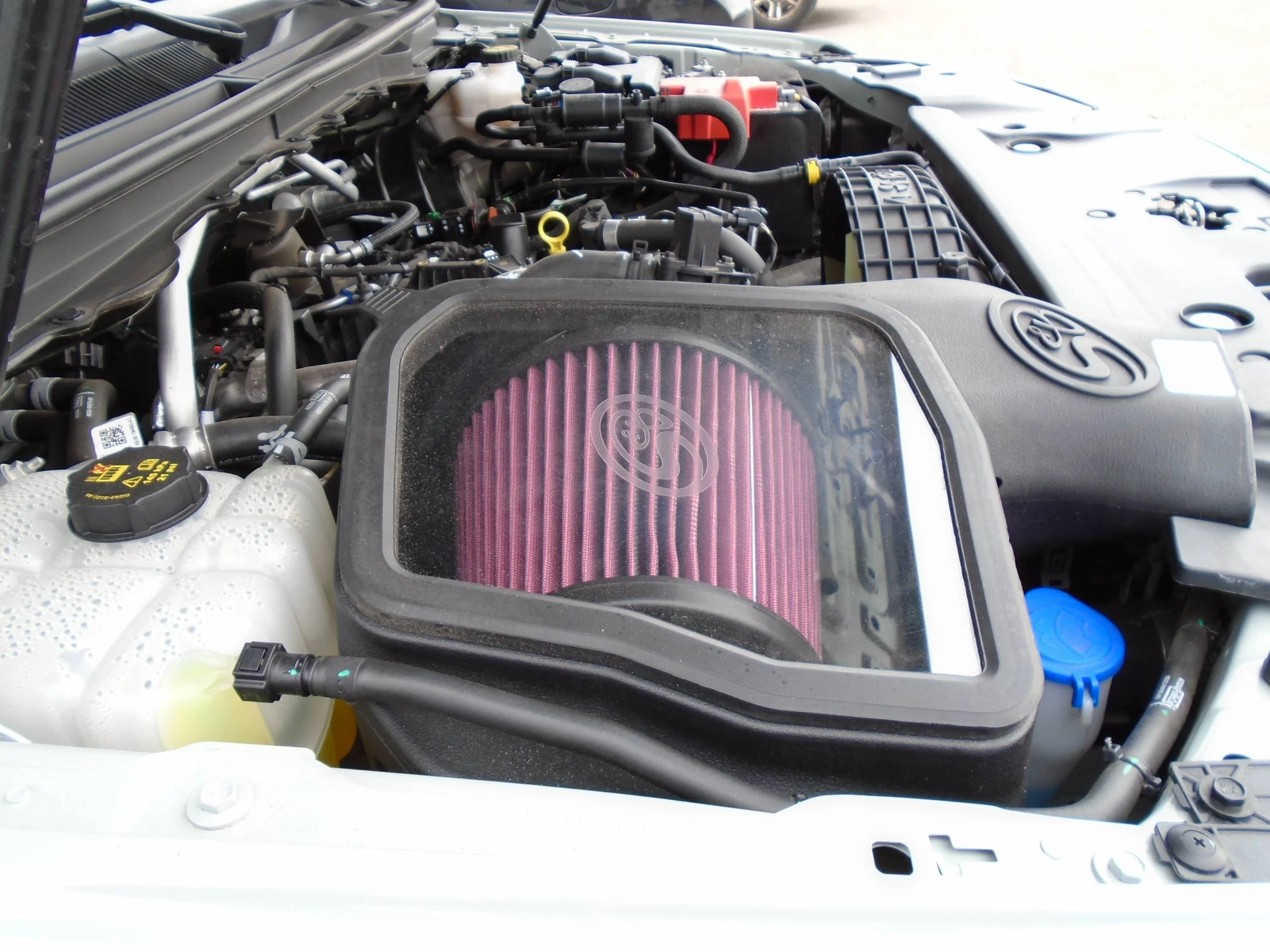 DSC00110.webp