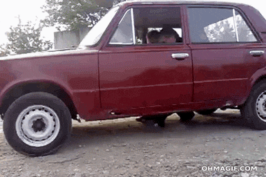 giphy (2).gif