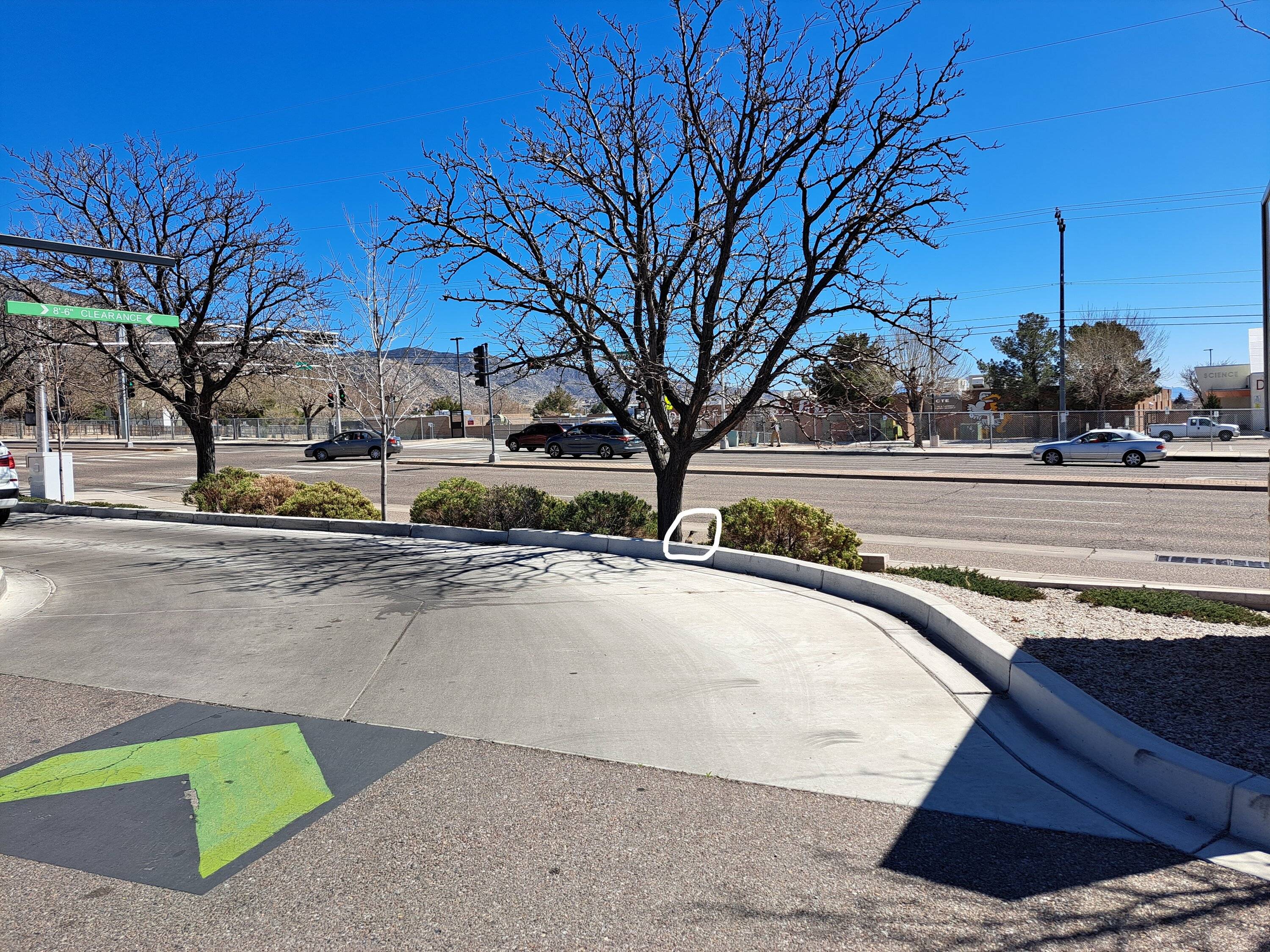 RR-peeking over a curb (circled).jpg