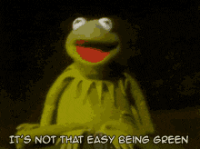 kermit-muppet.gif
