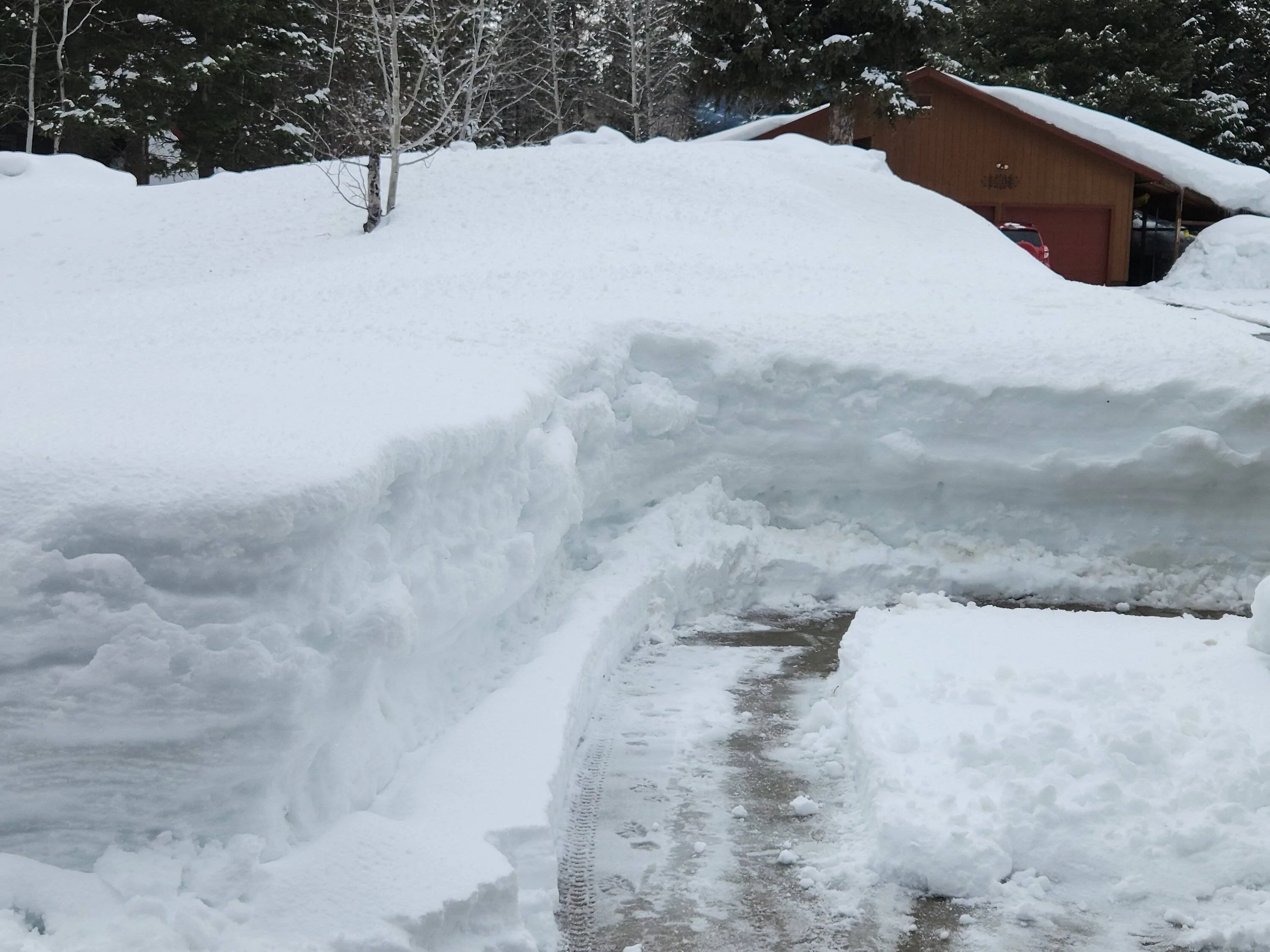 cabin walk 040323.webp