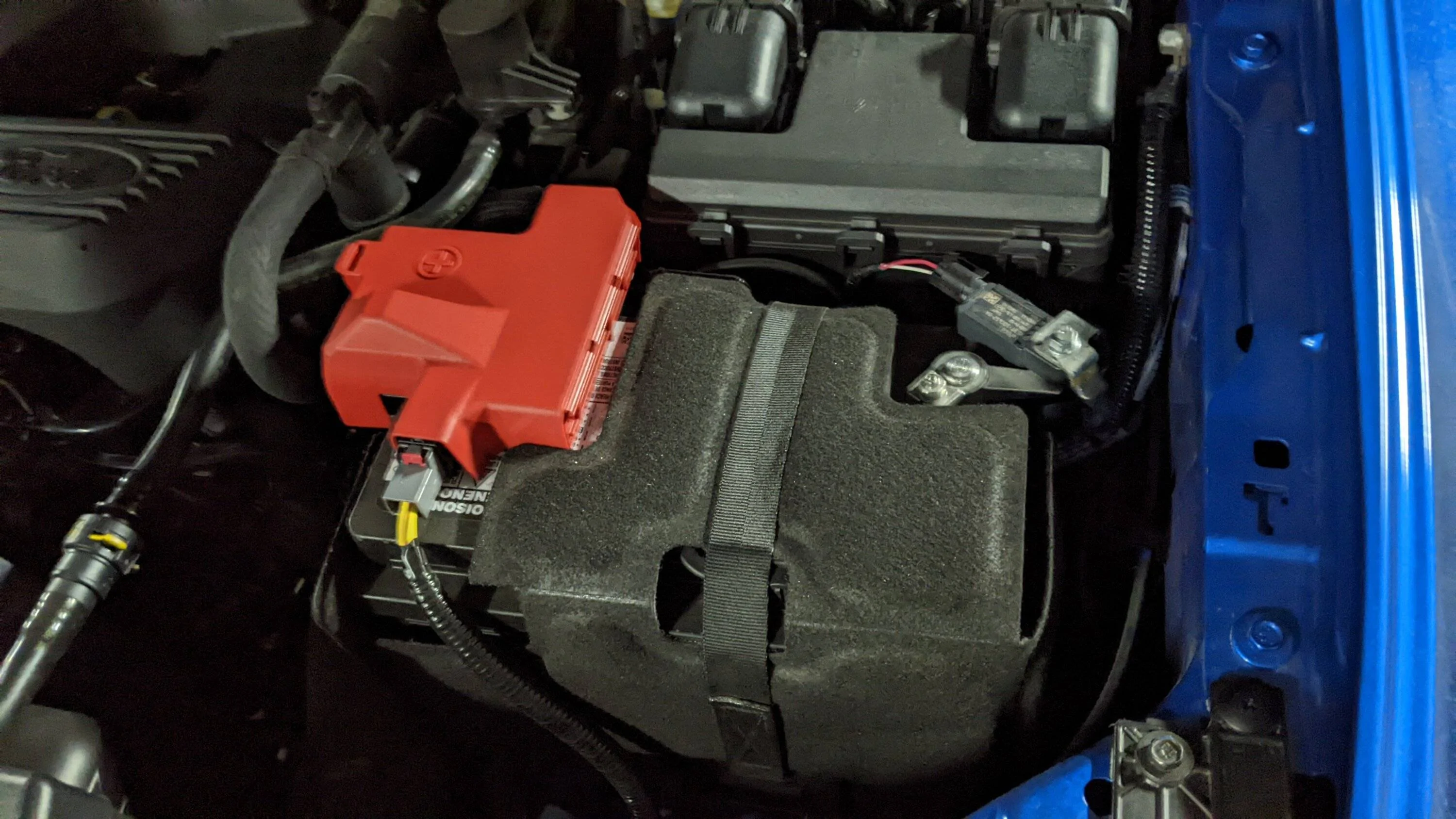 PXL_20230404_184147479.MP.jpg