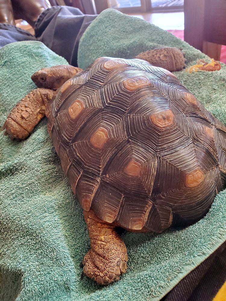 wakeupbath_1_2023.jpg