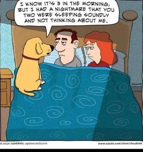 dog worry.jpeg
