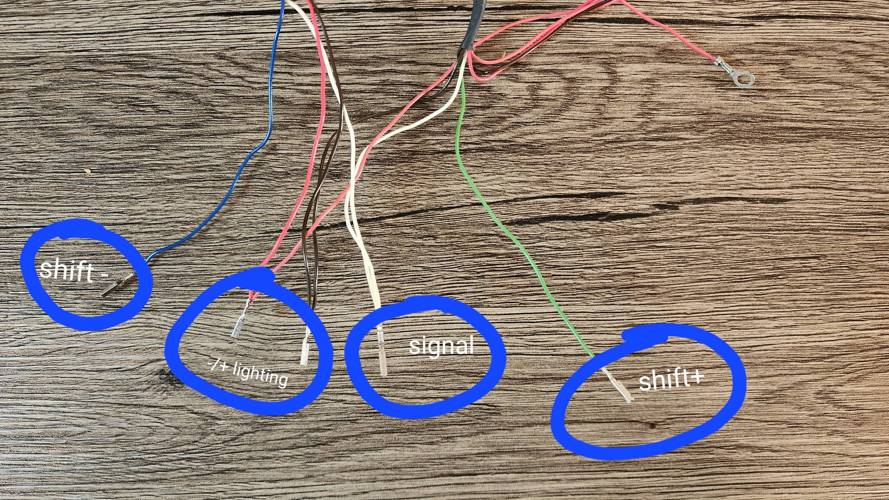 20230410_181100.jpg