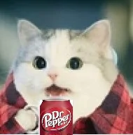 catdrpepper2.webp