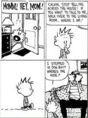 Calvin - Dog poop.webp