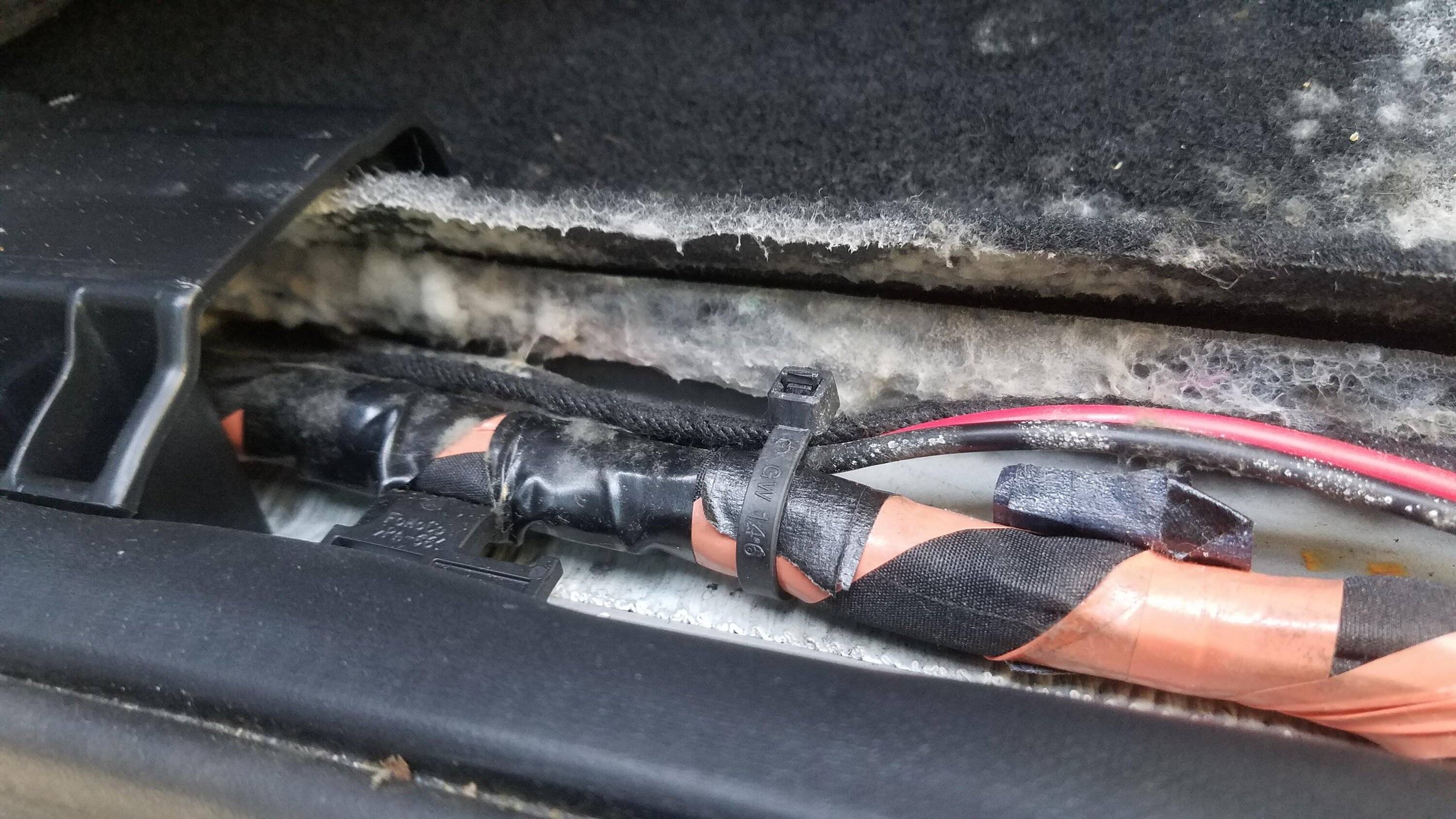mold 2.jpg