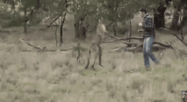 96A1ED0B-2C87-4C1B-B838-38262232AD69.gif