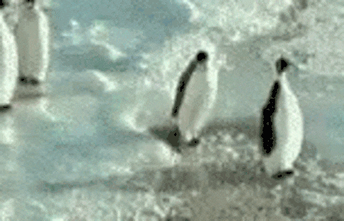 7679C4C6-DDC5-4D3A-86DF-D88F9C4C5E7A.gif