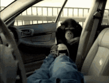 674B762B-5895-47F2-96CE-253005BF7018.gif