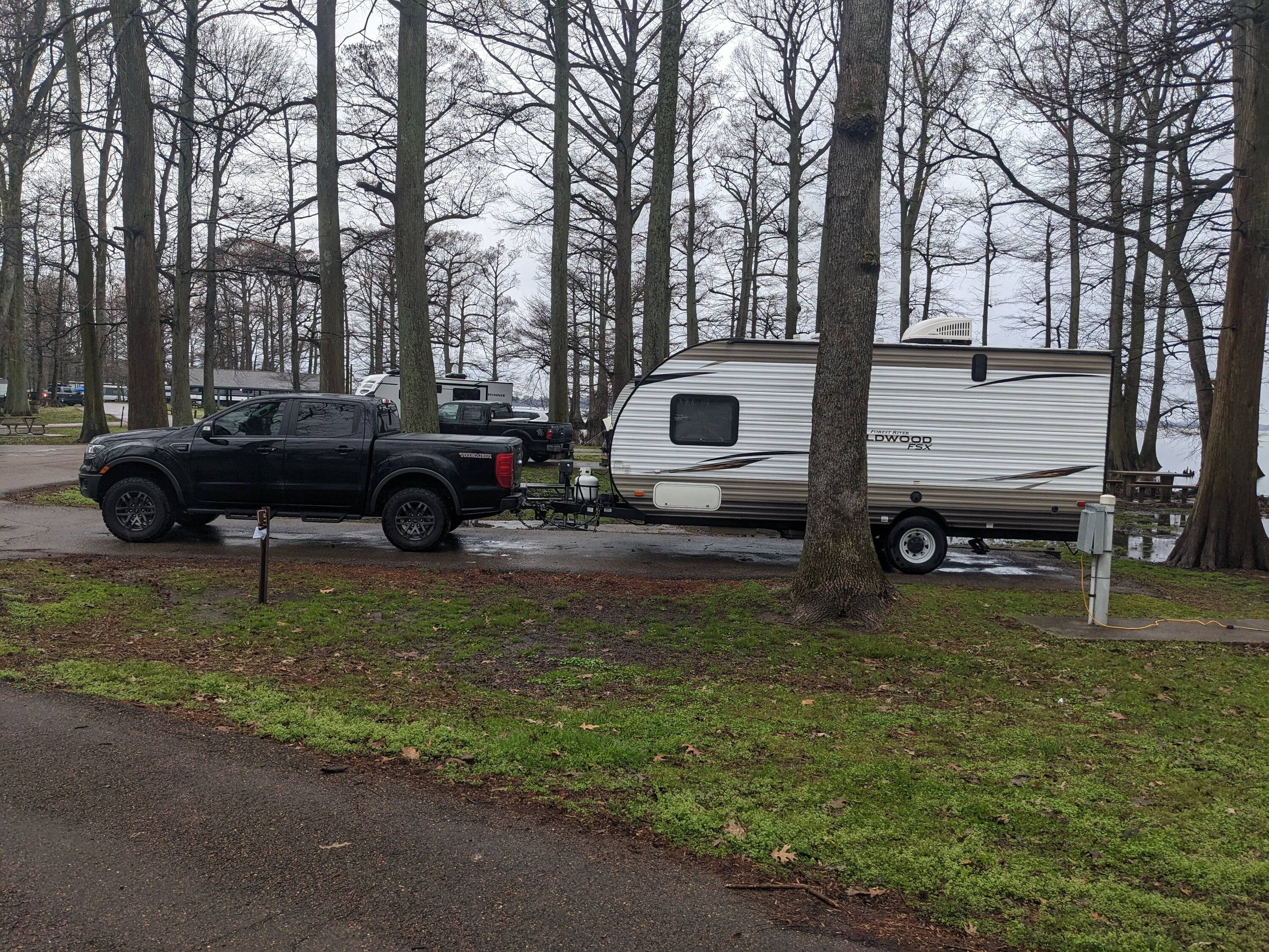 reelfoot lake.jpg