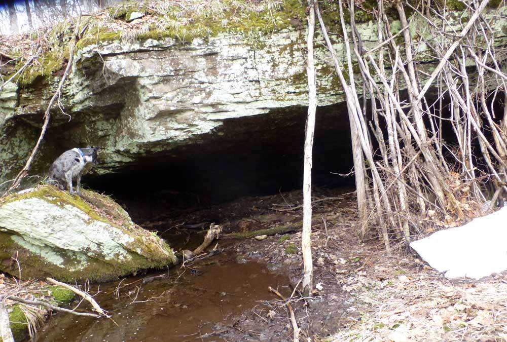 P1160334.jpg