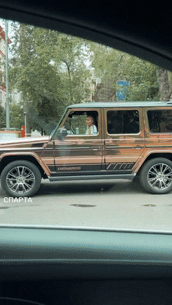 IMG_9497.gif