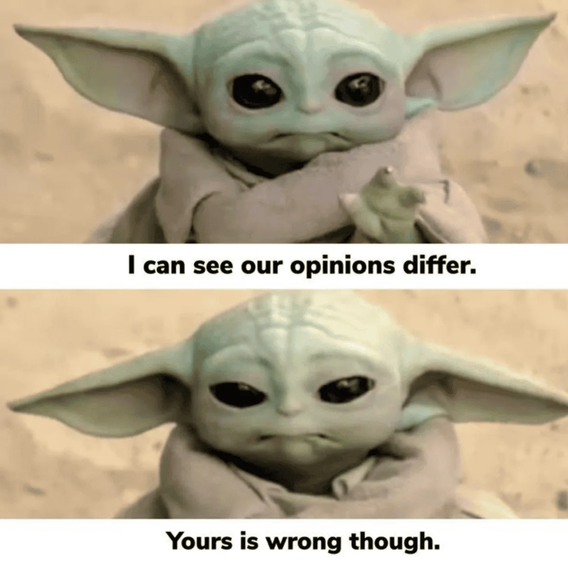 Opinion.webp