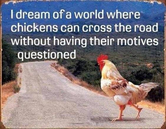 Chicken Motives.jpeg
