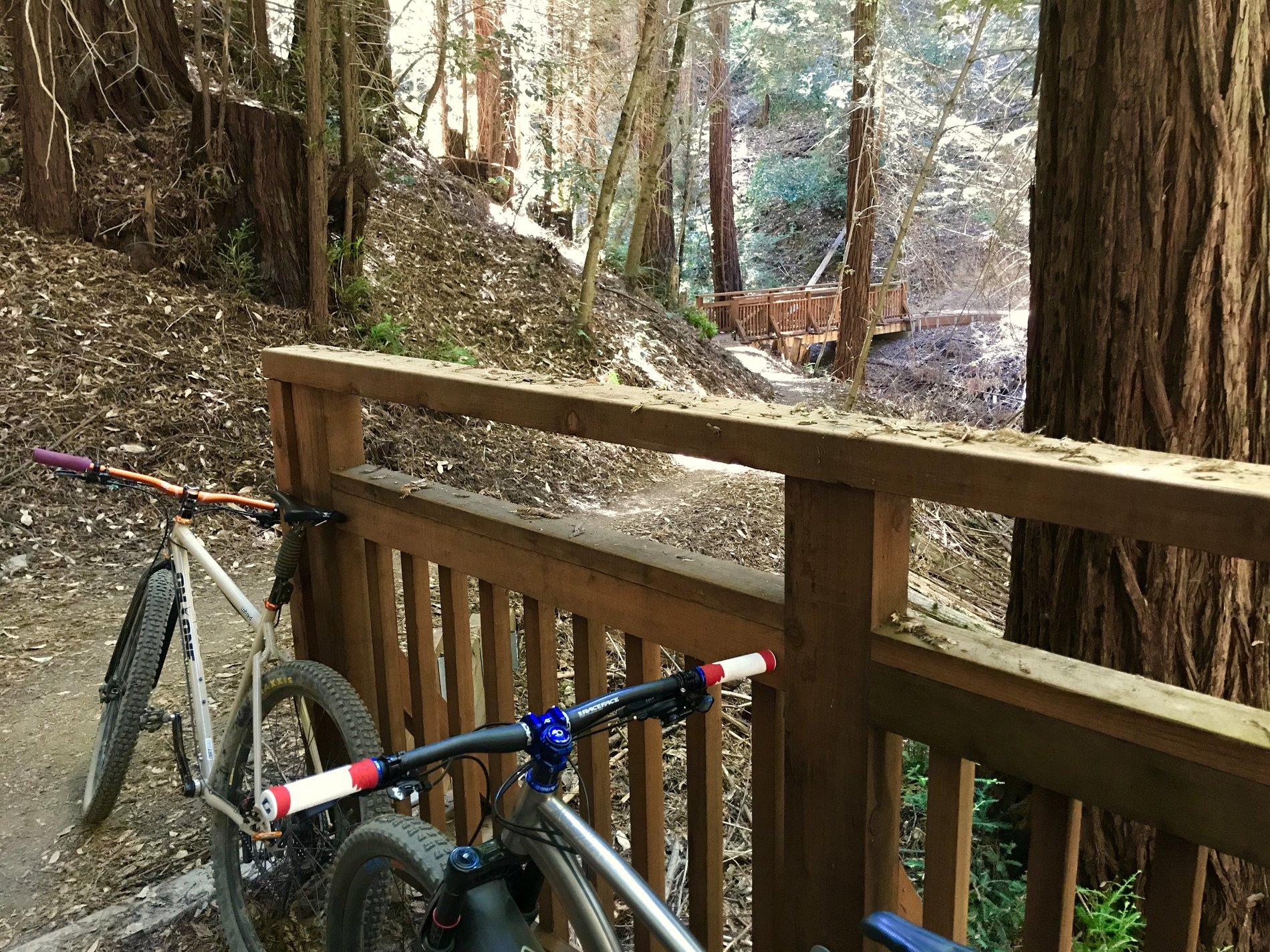 24050E0B-1F18-4404-9C5B-48D1D8B30A4F.jpeg