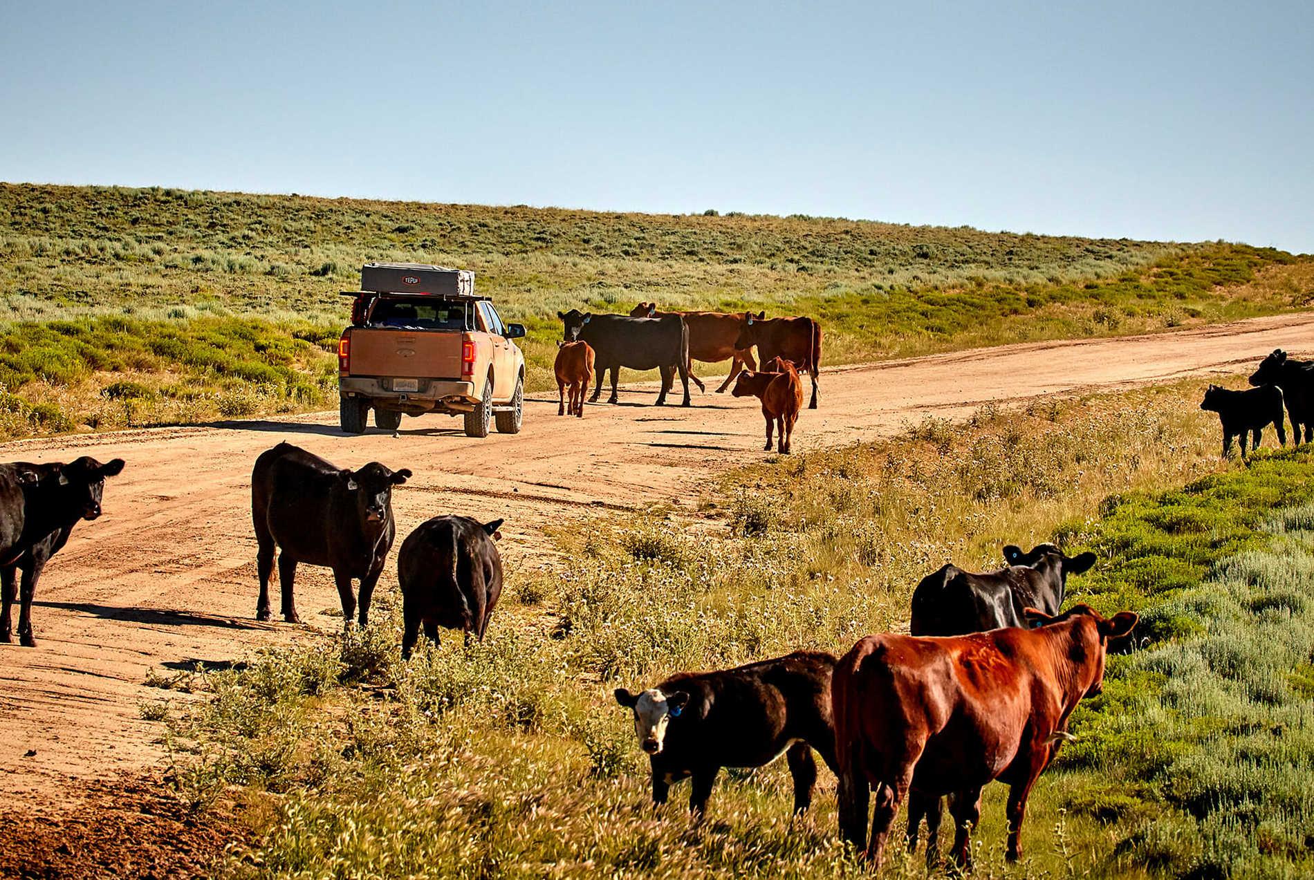 Overlanding-Across-America-Ford-gear-patrol-wyoming-slide-1.jpg
