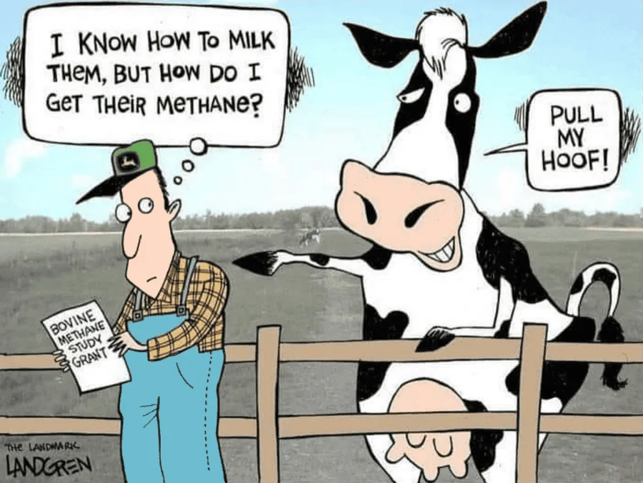 1683301920902.webp