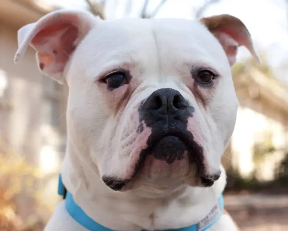 AB09C6CE-78F7-416F-9861-464254F0C98F.webp