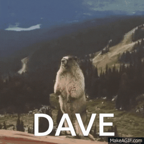 dave.gif