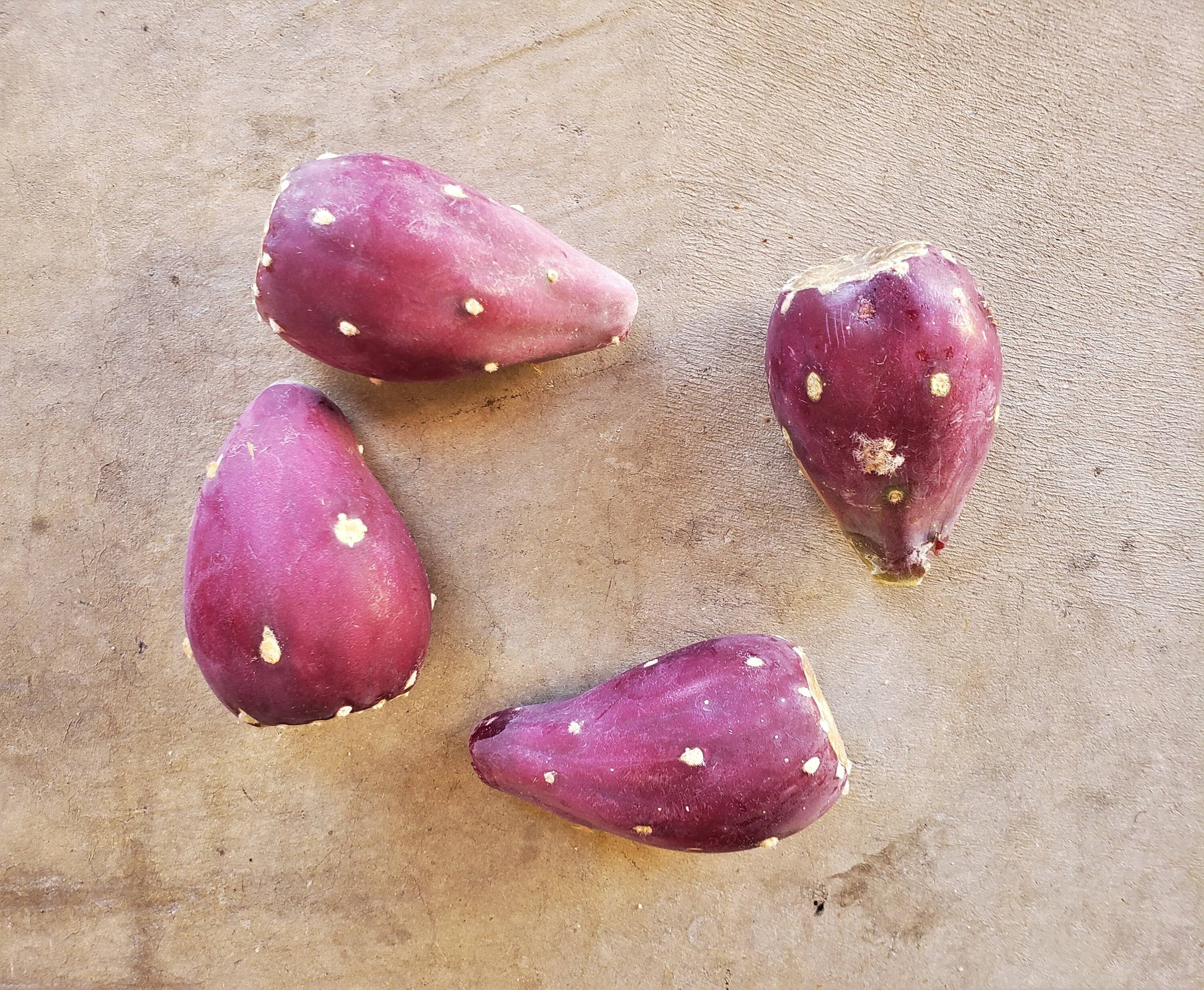 Prickly Pears.jpg