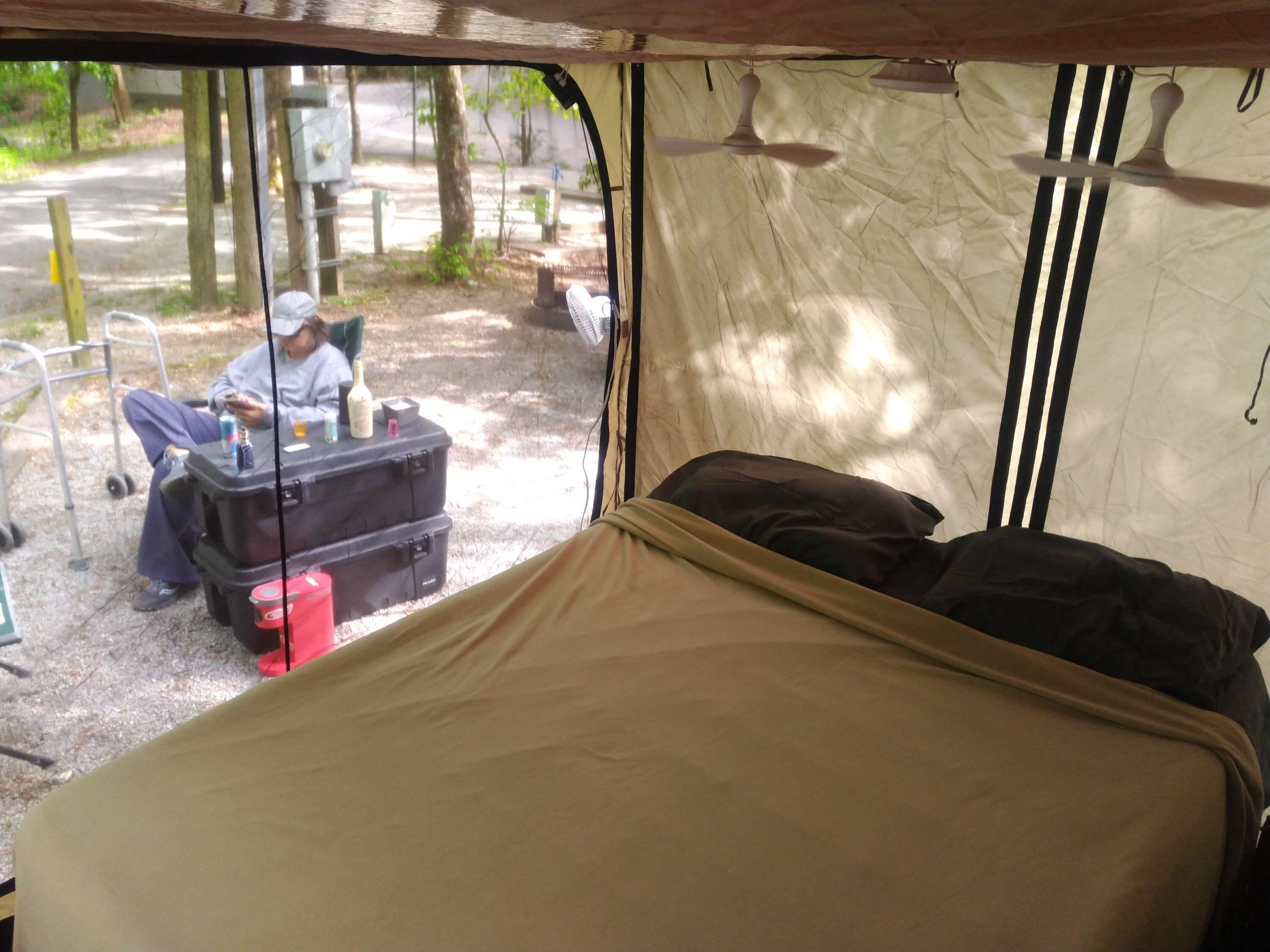 IMG_20230512_173251.webp