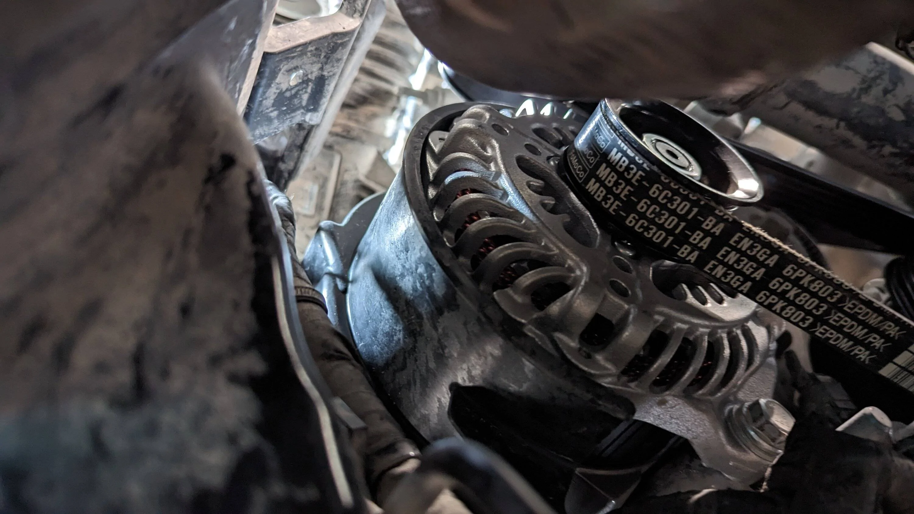 E1177702-C118-4D8C-A5B8-94F27F30DB79.webp