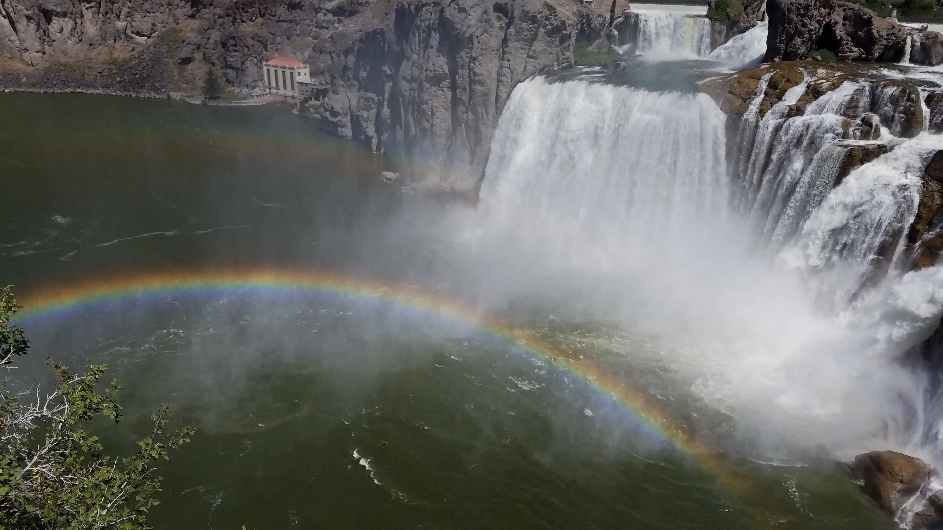 shoshone rainbow.webp