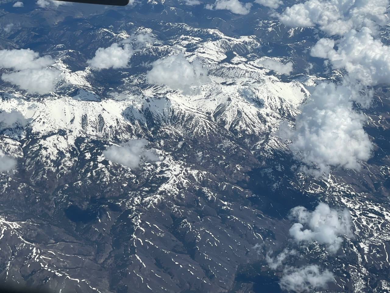 IMG_8631.jpg